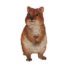 画像をギャラリービューアに読み込む, クアッカのお役立ち貯金箱 PET BANK QUOKKA(ペットバンク クアッカ)