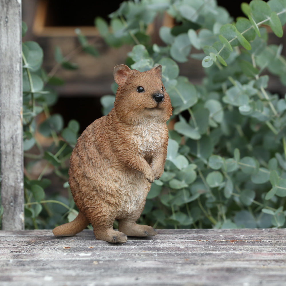 クアッカのお役立ち貯金箱 PET BANK QUOKKA（ペットバンク クアッカ