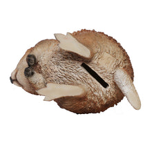 画像をギャラリービューアに読み込む, クアッカのお役立ち貯金箱 PET BANK QUOKKA(ペットバンク クアッカ)