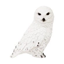 画像をギャラリービューアに読み込む, シロフクロウのお役立ち貯金箱 PET BANK SNOWY OWL(ペットバンク スノー オウル)