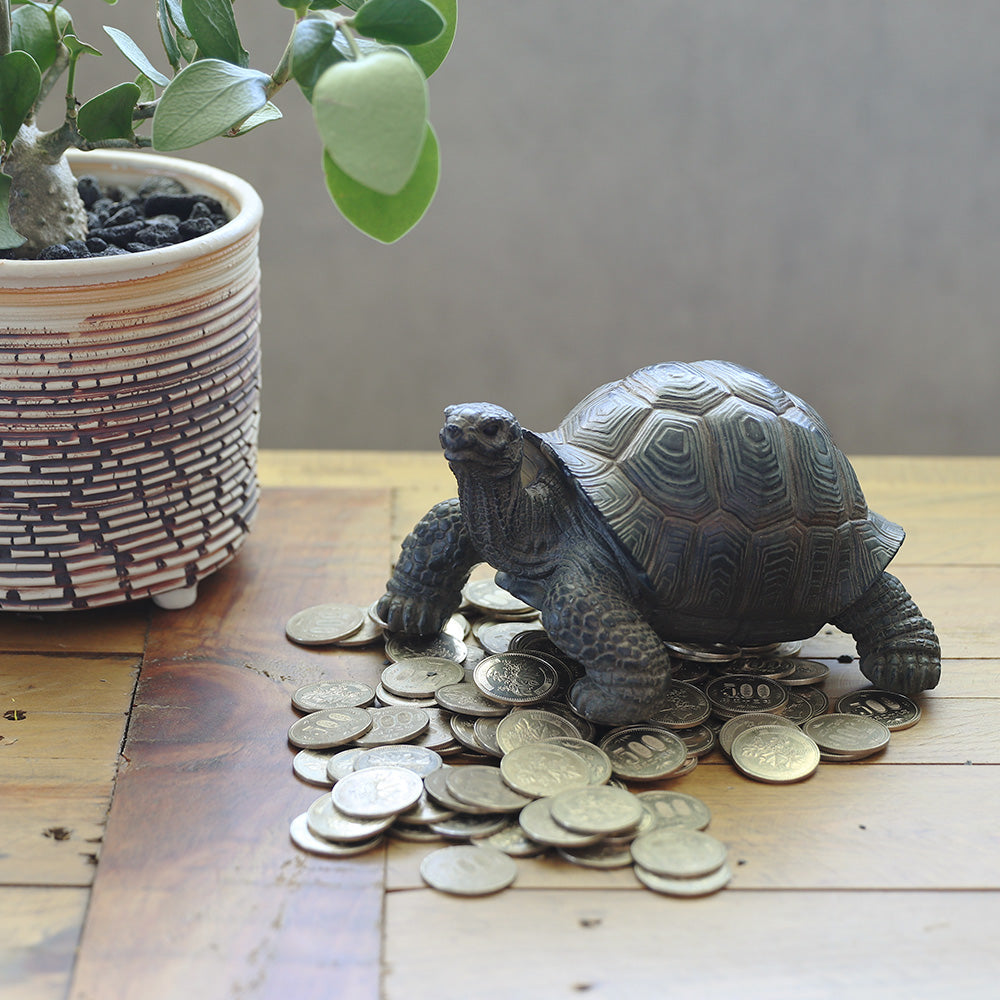 リクガメのお役立ち貯金箱 PET BANK TORTOISE（ペットバンク トータス） – MAG. online shop