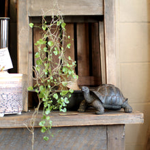 画像をギャラリービューアに読み込む, リクガメのお役立ち貯金箱 PET BANK TORTOISE(ペットバンク トータス)