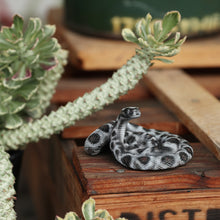 画像をギャラリービューアに読み込む, コーンスネークのリアルな生きもの造形マグネット REPTILES MAG CORN SNAKE(レプタイルズ マグ コーンスネーク)