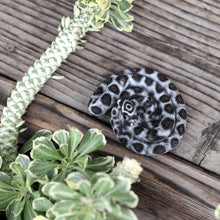 画像をギャラリービューアに読み込む, コーンスネークのリアルな生きもの造形マグネット REPTILES MAG CORN SNAKE(レプタイルズ マグ コーンスネーク)