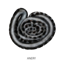 画像をギャラリービューアに読み込む, コーンスネークのリアルな生きもの造形マグネット REPTILES MAG CORN SNAKE(レプタイルズ マグ コーンスネーク)