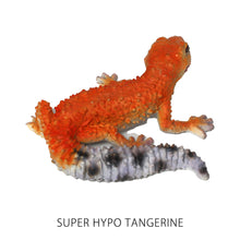 画像をギャラリービューアに読み込む, レオパード ゲッコー ベイビーのリアルな生きもの造形マグネット REPTILES MAG LEOPARD GECKO BABY(レプタイルズ マグ レオパード ゲッコー ベイビー)