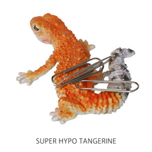 画像をギャラリービューアに読み込む, レオパード ゲッコー ベイビーのリアルな生きもの造形マグネット REPTILES MAG LEOPARD GECKO BABY(レプタイルズ マグ レオパード ゲッコー ベイビー)