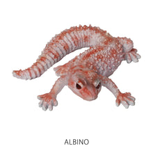 画像をギャラリービューアに読み込む, レオパード ゲッコー ベイビーのリアルな生きもの造形マグネット REPTILES MAG LEOPARD GECKO BABY(レプタイルズ マグ レオパード ゲッコー ベイビー)