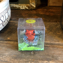 画像をギャラリービューアに読み込む, イチゴヤドクガエルのリアルな生きもの造形マグネット REPTILES MAG STRAWBERRY POISON DART FROG(レプタイルズ マグ ストロベリー ポイズンダートフロッグ)