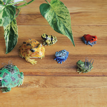 画像をギャラリービューアに読み込む, イチゴヤドクガエルのリアルな生きもの造形マグネット REPTILES MAG STRAWBERRY POISON DART FROG(レプタイルズ マグ ストロベリー ポイズンダートフロッグ)