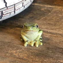 画像をギャラリービューアに読み込む, アマガエルのリアルな生きもの造形マグネット REPTILES MAG TREE FROG(レプタイルズ マグ ツリーフロッグ)