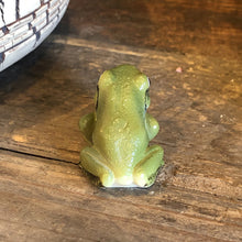 画像をギャラリービューアに読み込む, アマガエルのリアルな生きもの造形マグネット REPTILES MAG TREE FROG(レプタイルズ マグ ツリーフロッグ)