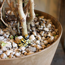 画像をギャラリービューアに読み込む, キオビヤドクガエルのリアルな生きもの造形マグネット REPTILES MAG YELLOW-BANDED POISON DART FROG(レプタイルズ マグ イエロー ポイズンダートフロッグ)