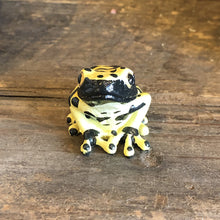 画像をギャラリービューアに読み込む, キオビヤドクガエルのリアルな生きもの造形マグネット REPTILES MAG YELLOW-BANDED POISON DART FROG(レプタイルズ マグ イエロー ポイズンダートフロッグ)