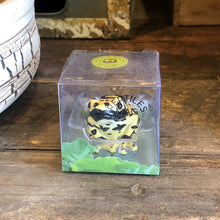 画像をギャラリービューアに読み込む, キオビヤドクガエルのリアルな生きもの造形マグネット REPTILES MAG YELLOW-BANDED POISON DART FROG(レプタイルズ マグ イエロー ポイズンダートフロッグ)