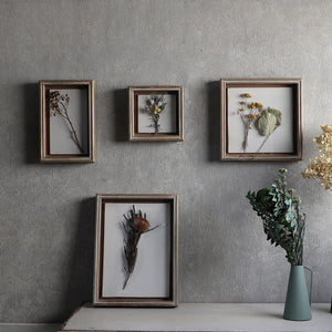 植物を飾れば標本が出来上がるフレーム Specimen Frame(スペシメンフレーム)