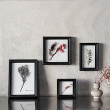 画像をギャラリービューアに読み込む, 植物を飾れば標本が出来上がるフレーム Specimen Frame(スペシメンフレーム)