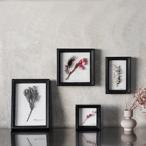 植物を飾れば標本が出来上がるフレーム Specimen Frame(スペシメンフレーム)