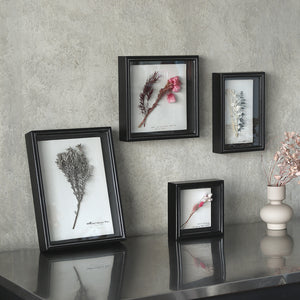 植物を飾れば標本が出来上がるフレーム Specimen Frame(スペシメンフレーム)