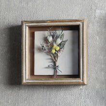 画像をギャラリービューアに読み込む, 植物を飾れば標本が出来上がるフレーム Specimen Frame(スペシメンフレーム)