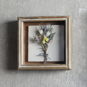 植物を飾れば標本が出来上がるフレーム Specimen Frame(スペシメンフレーム)