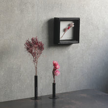 画像をギャラリービューアに読み込む, 植物を飾れば標本が出来上がるフレーム Specimen Frame(スペシメンフレーム)