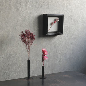 植物を飾れば標本が出来上がるフレーム Specimen Frame(スペシメンフレーム)