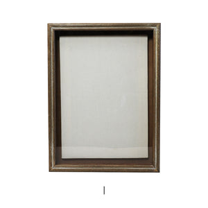 植物を飾れば標本が出来上がるフレーム Specimen Frame(スペシメンフレーム)