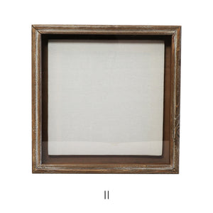 植物を飾れば標本が出来上がるフレーム Specimen Frame(スペシメンフレーム)