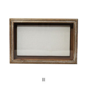 植物を飾れば標本が出来上がるフレーム Specimen Frame(スペシメンフレーム)