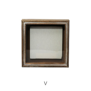 植物を飾れば標本が出来上がるフレーム Specimen Frame(スペシメンフレーム)