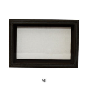 植物を飾れば標本が出来上がるフレーム Specimen Frame(スペシメンフレーム)