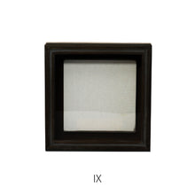 画像をギャラリービューアに読み込む, 植物を飾れば標本が出来上がるフレーム Specimen Frame(スペシメンフレーム)