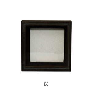 植物を飾れば標本が出来上がるフレーム Specimen Frame(スペシメンフレーム)