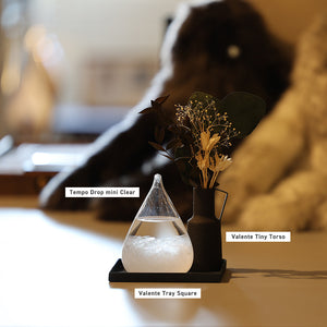 天候の変化で結晶の形が変わる しずく型のオブジェ Tempo Drop mini(テンポ ドロップ ミニ)
