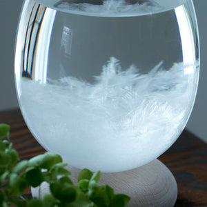 天候の変化で結晶の形が変わる たまご型のオブジェ Tempo Pulse(テンポ パルス)