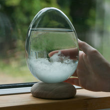 画像をギャラリービューアに読み込む, 天候の変化で結晶の形が変わる たまご型のオブジェ Tempo Pulse(テンポ パルス)