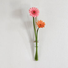 画像をギャラリービューアに読み込む, 1つあれば活用の幅が広がる試験管 TEST TUBE