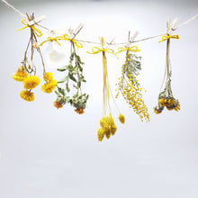 画像をギャラリービューアに読み込む, 自由なアレンジが楽しめる TSURUSU GARLAND STYLE KIT(ツルス ガーランドスタイルキット)