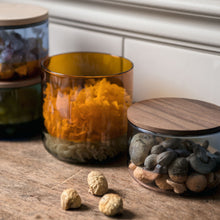 画像をギャラリービューアに読み込む, カラーグラスのコンビネーションが空間を彩る TWO TONE CANISTER(ツートーン キャニスター)