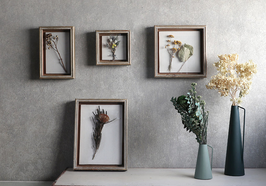 植物を飾れば標本が出来上がるフレーム「Specimen Frame」に新色が登場！