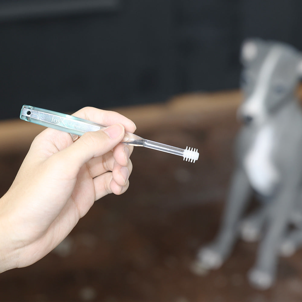 光で菌や臭いを分解除去 最高峰のペット用歯ブラシ Alpha Brush