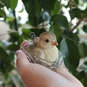 巣の中で親鳥の帰りを待つ雛鳥のオブジェ BIRDIE BILL BABY（バーディ ビル ベビー）