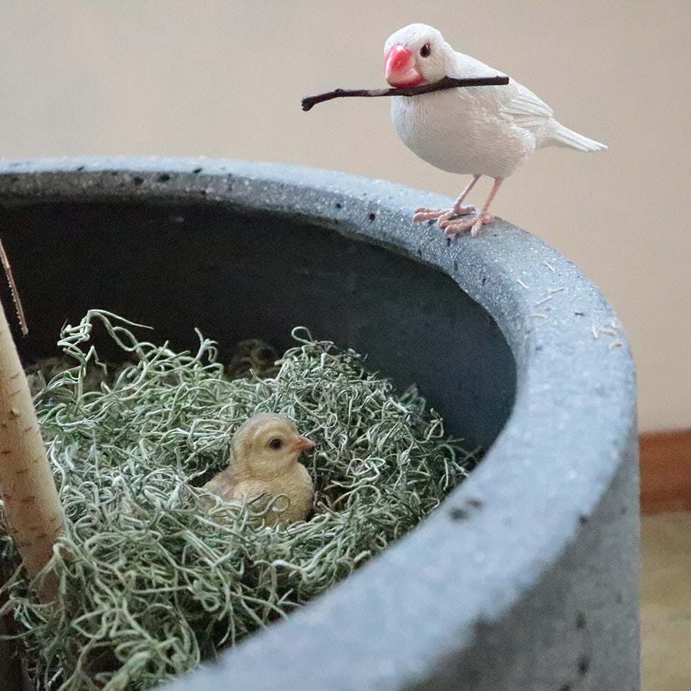 リアルな文鳥のオブジェBIRDIE BILL JAVA SPARROW（バーディ