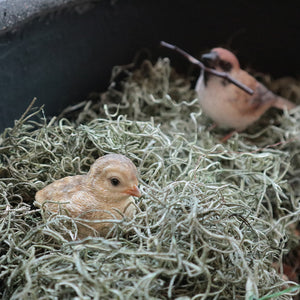 巣の中で親鳥の帰りを待つ雛鳥のオブジェ BIRDIE BILL BABY（バーディ ビル ベビー）