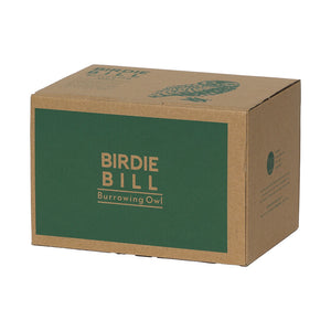 リアルなアナホリフクロウのオブジェ BIRDIE BILL BURROWING OWL（バーディ ビル バーローイングオウル）
