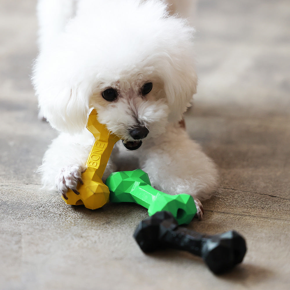 新着商品 – ページ 2 – MAG. online shop