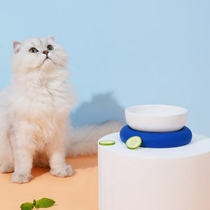 お椀口が大きく 顔の大きい猫ちゃんも食べやすい BOWL BASE