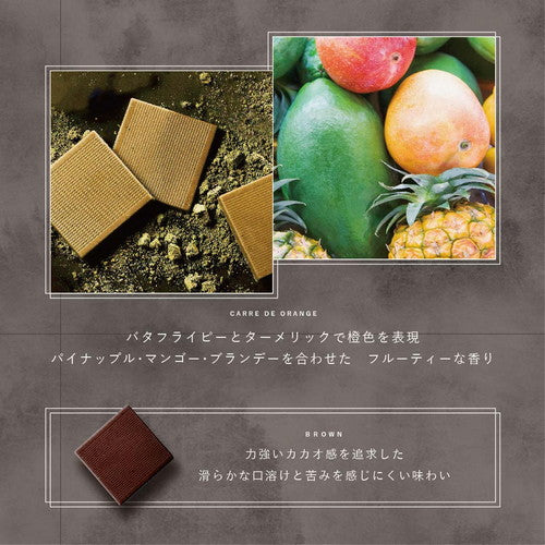 夜空で輝くオーロラのような4色チョコレート CARRE DE 4COLORS Aurora