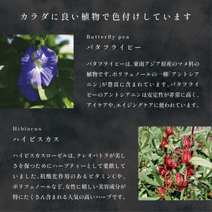 夜空で輝くオーロラのような4色チョコレート CARRE DE 4COLORS Aurora（カレド フォーカラーズ オーロラ）
